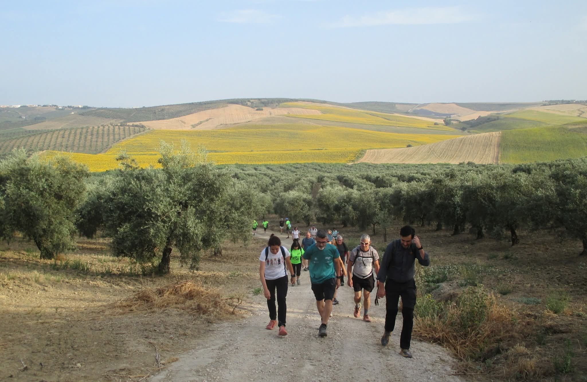 Ruta: El camino del Maestro Ávila