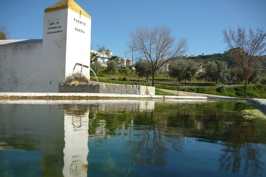 Ruta de las Fuentes Históricas