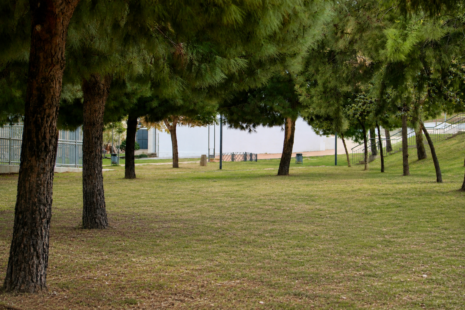 Parques y Jardines