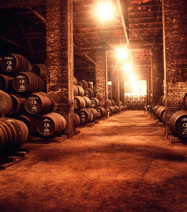 Imagen destacada Bodegas Alvear